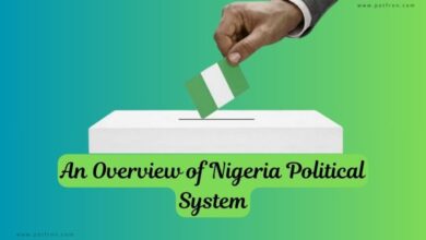 Nigeria Political System